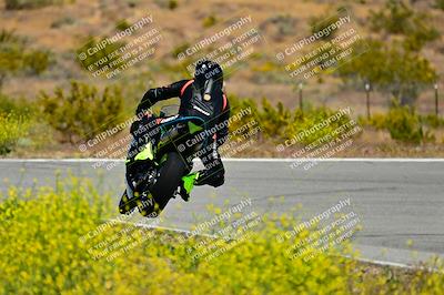 media/May-10-2024-2WTD (Fri) [[c88d7990af]]/Group C/Session 2-The Bowl/